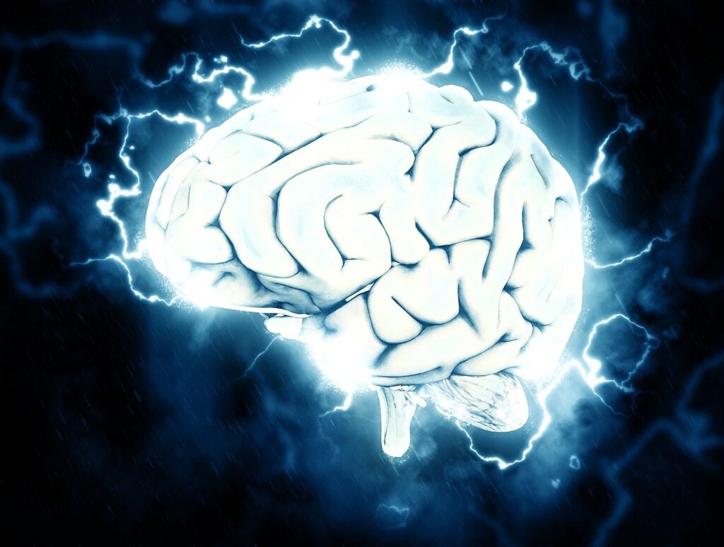 brain, electrical, knowledge-1845962.jpg